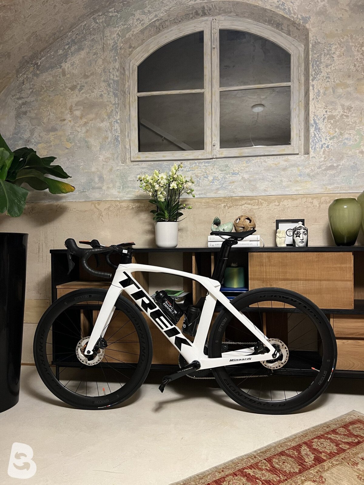 Trek Madone SL 6 2022
