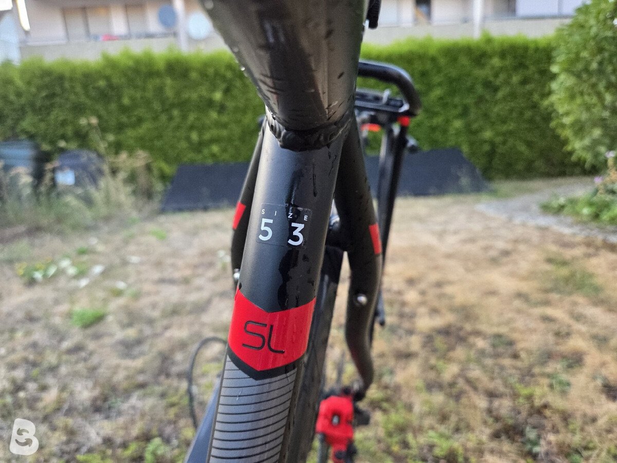 Pegasus Solero SL Disc 24 Diamond 2022