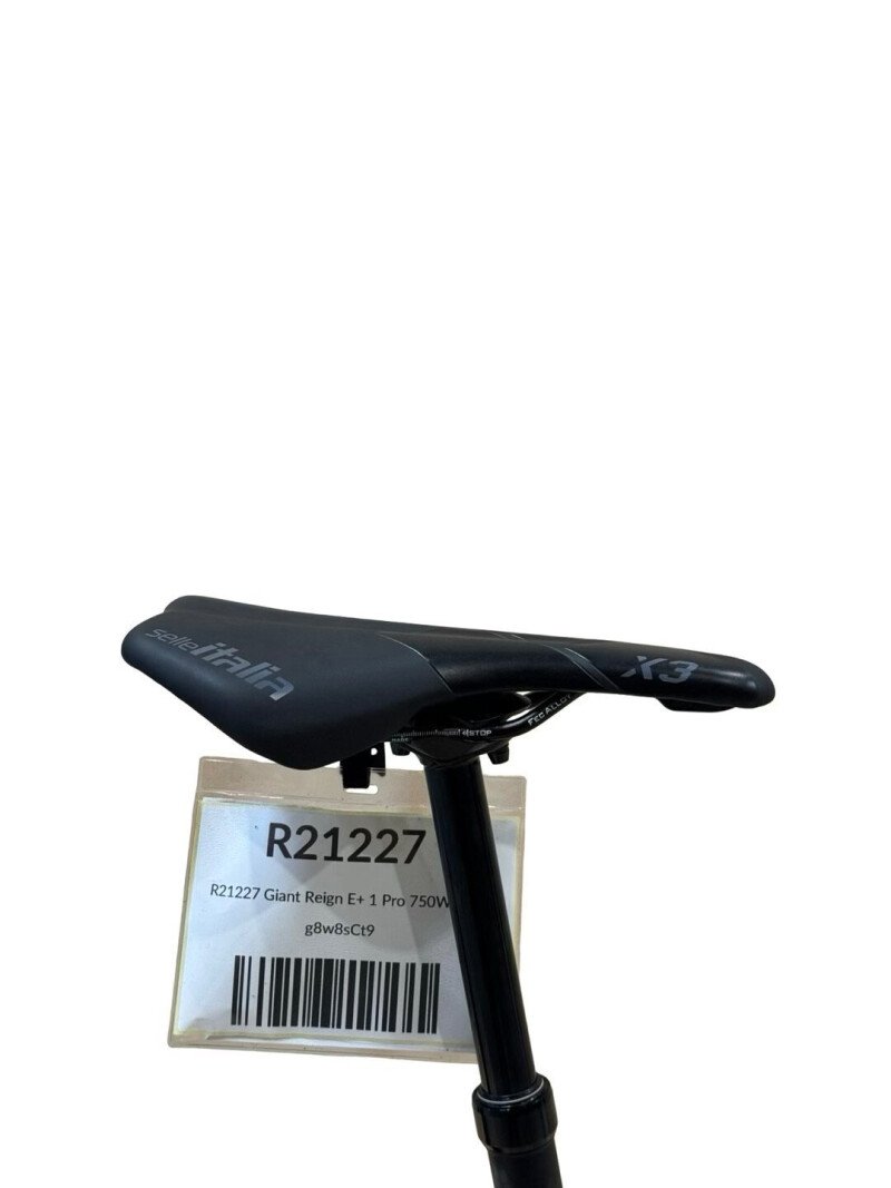 Giant Reign E+ 1 MX Pro Shimano XT 2023