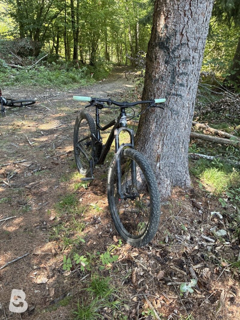 Giant Stance 2 2022