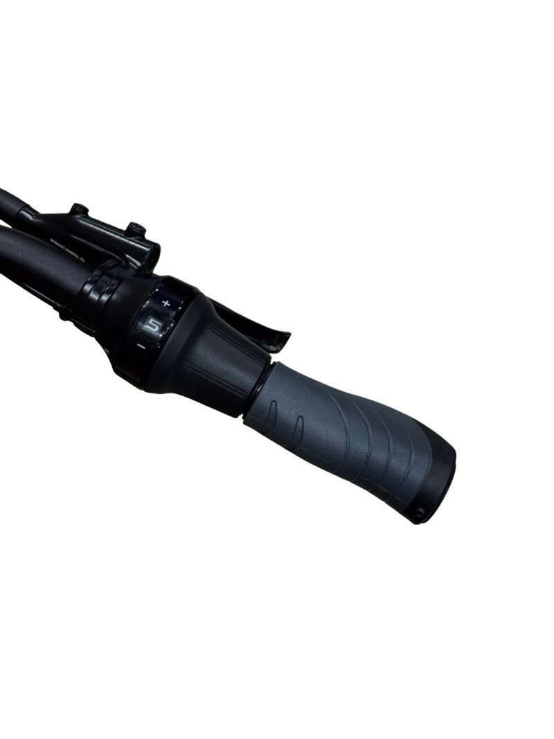 Falter SUB 9.5 FL PLUS 600 Shimano Nexus 2025