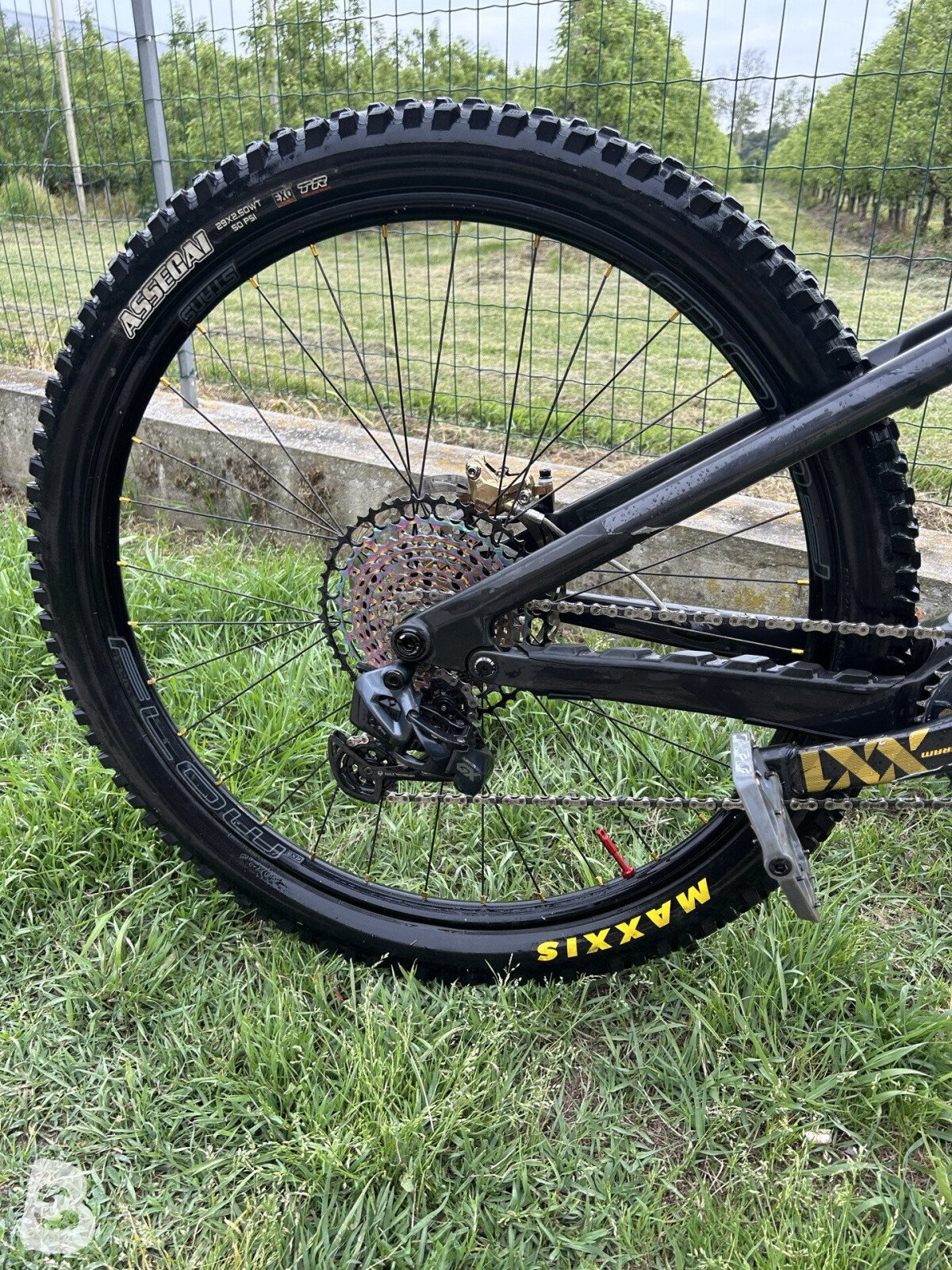 Canyon Strive CFR LTD 2023