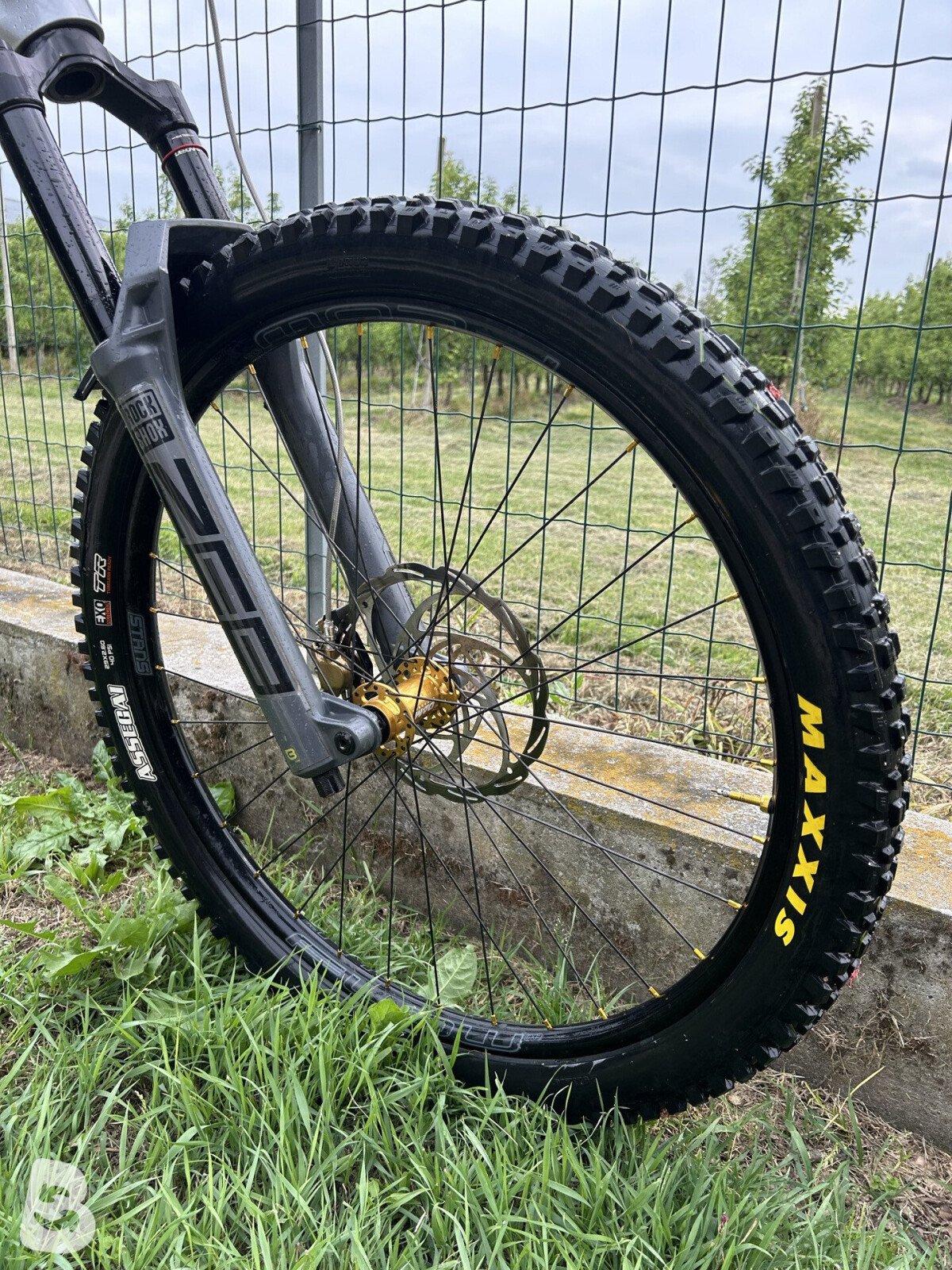 Canyon Strive CFR LTD 2023
