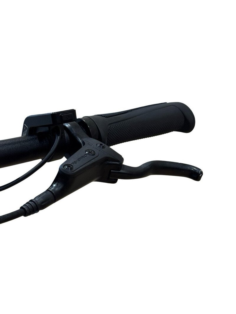 Tenways CGO600 PRO Single-Speed 2023