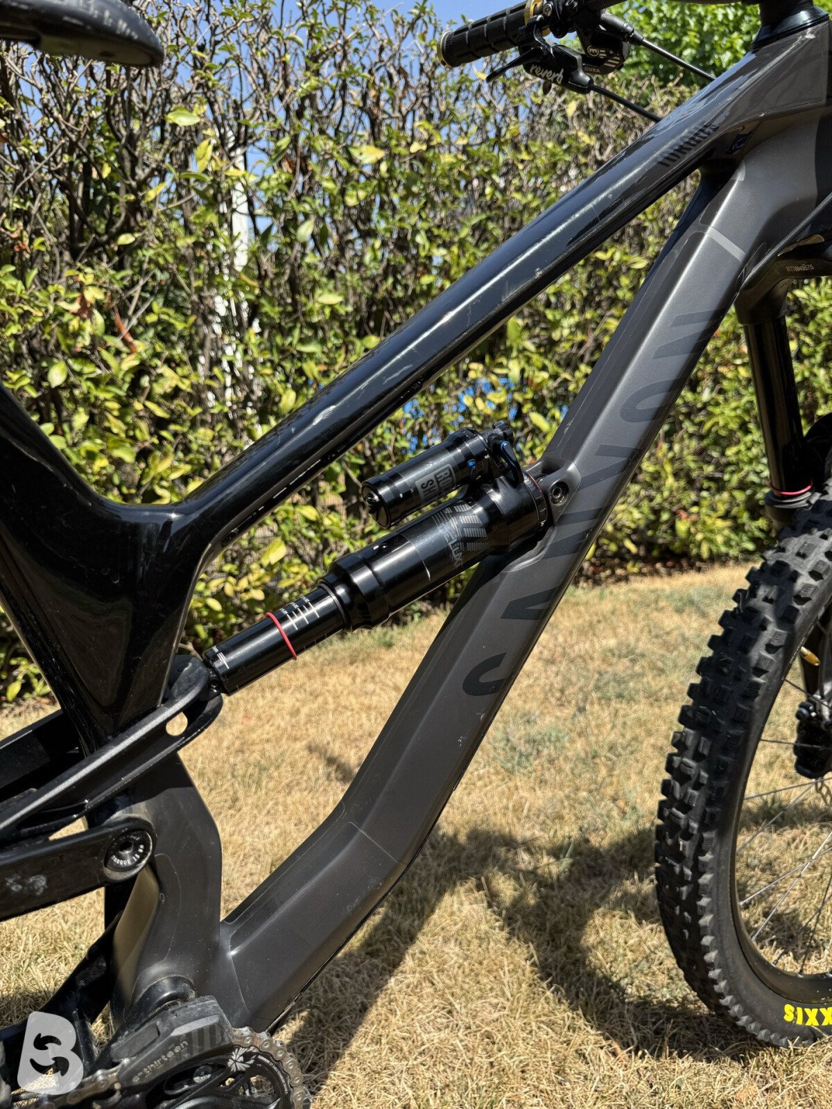 Canyon Torque CF 8.0 2020