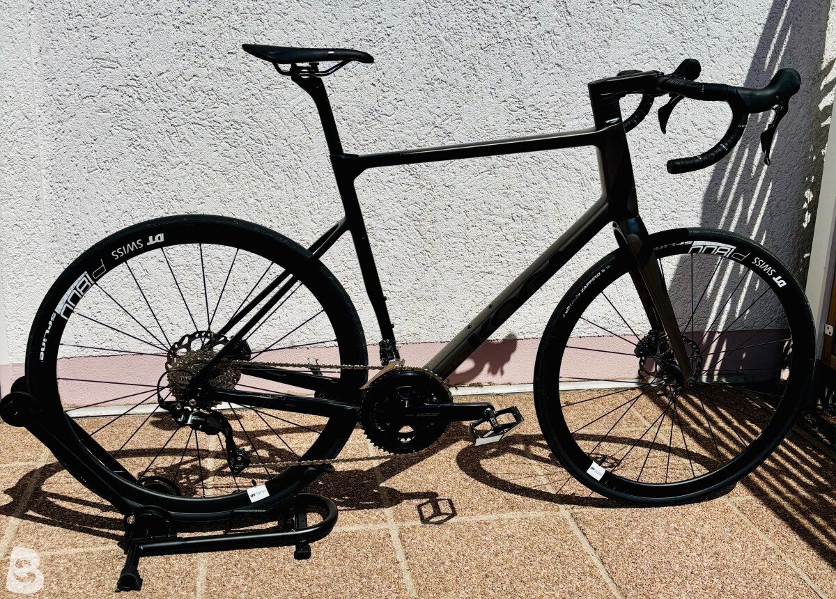 Koga ROQA Prestige 2025