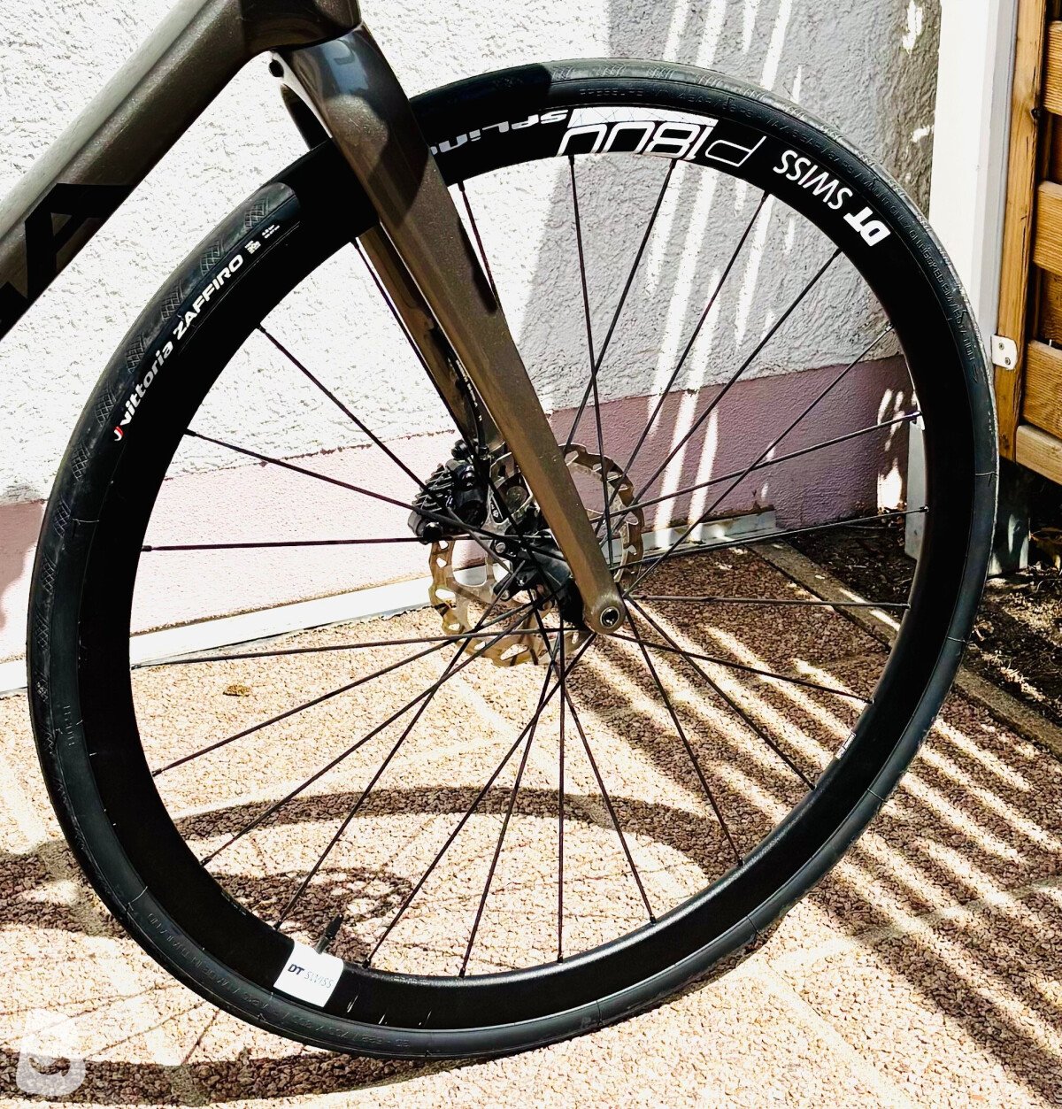 Koga ROQA Prestige 2025
