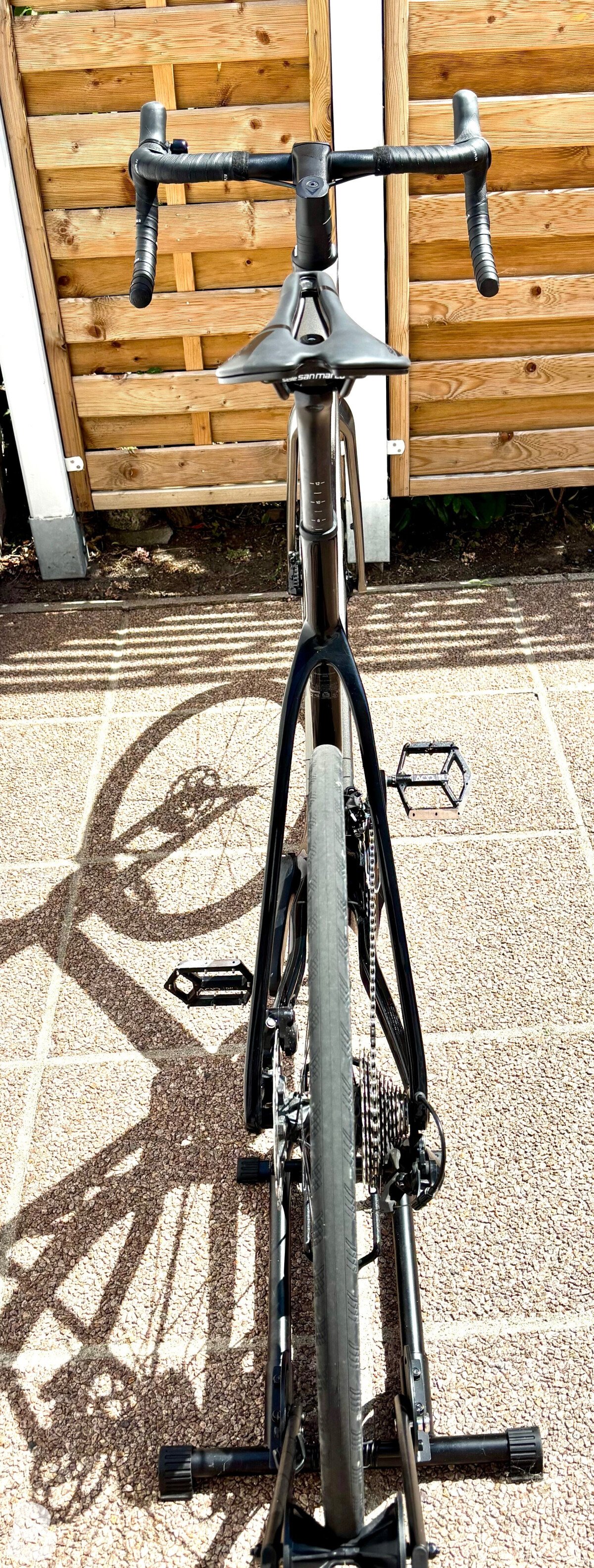 Koga ROQA Prestige 2025