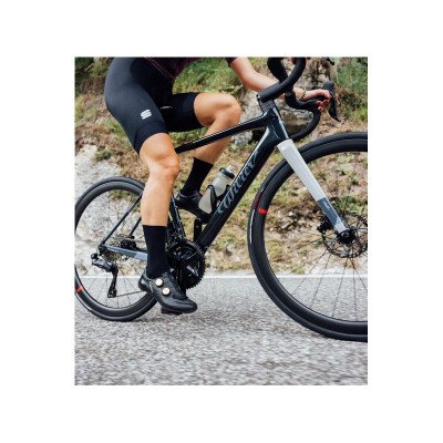 Wilier RAVE SL