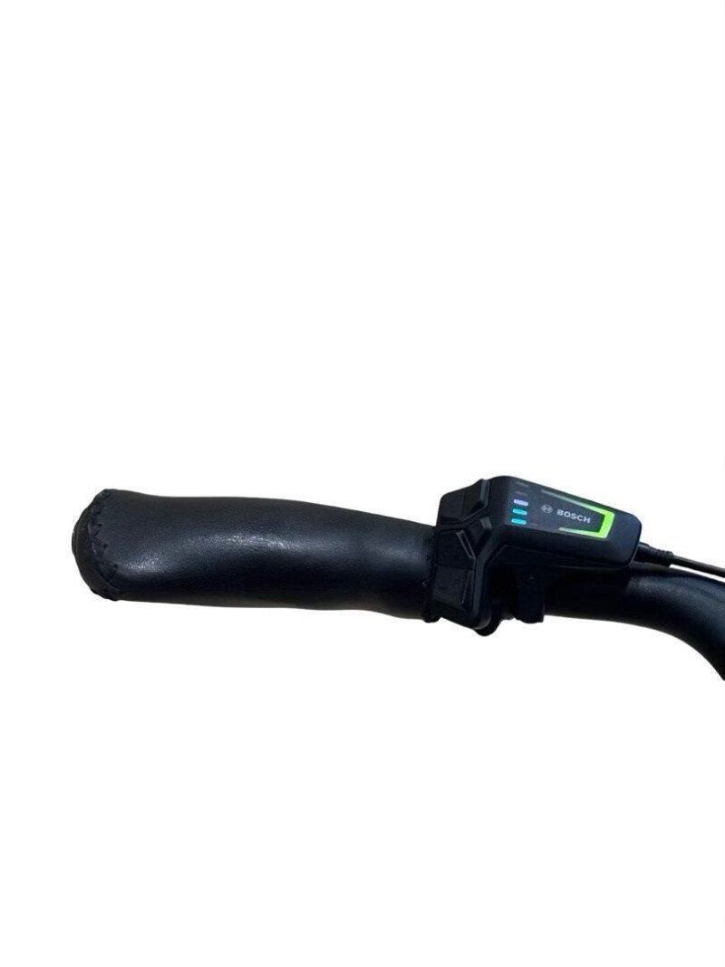 Riese & Müller Swing4 Silent Shimano Nexus 2024