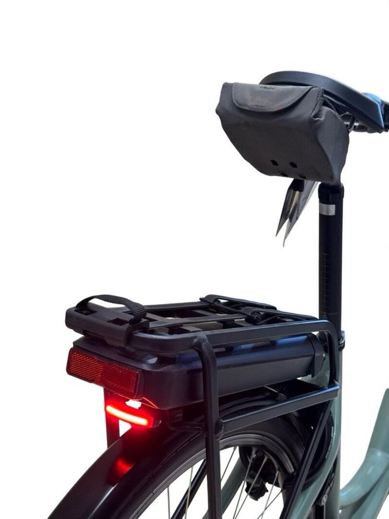 Riese & Müller Swing4 Silent Shimano Nexus 2024