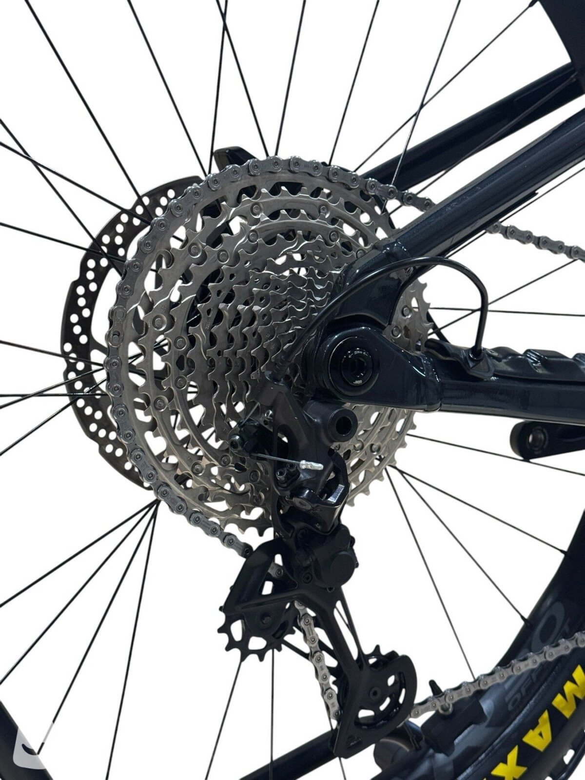 Orbea Wild H20 Shimano XT 2024