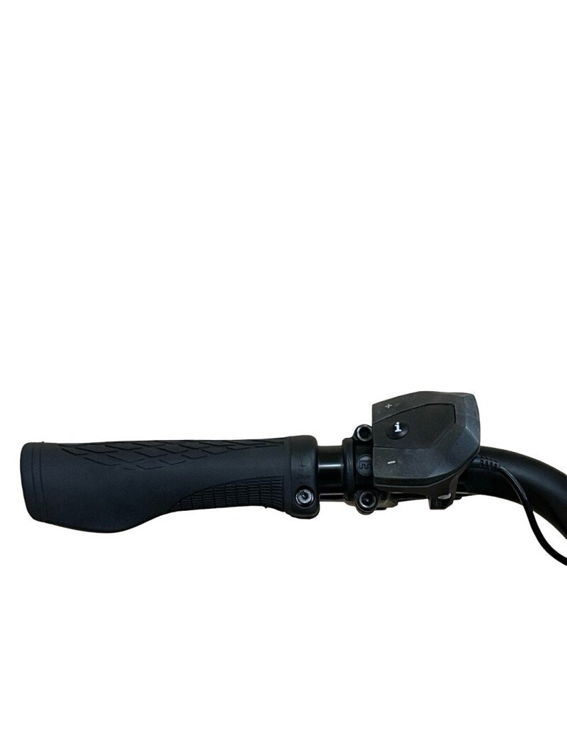 Gazelle Arroyo C7+ HMB Elite Shimano Nexus 2022