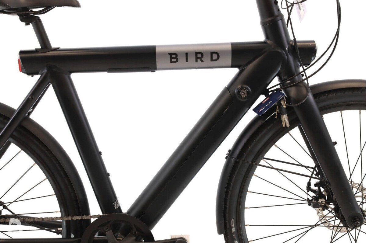 Bird Bird A-Frame 2023