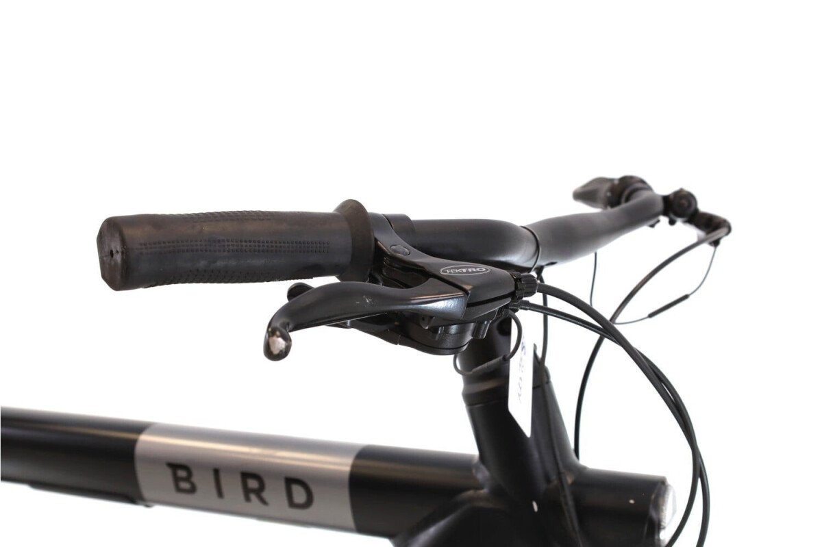Bird Bird A-Frame 2023