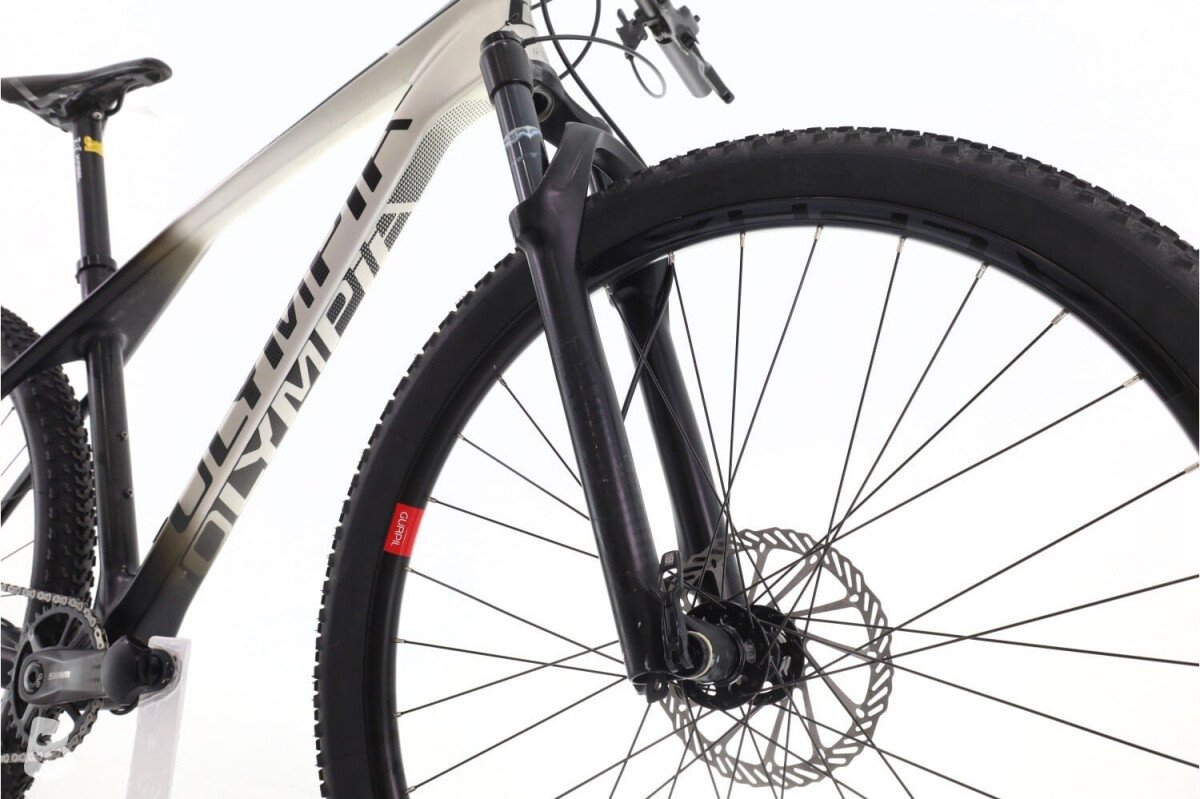 Olympia Cycles Olympia Iron 2020