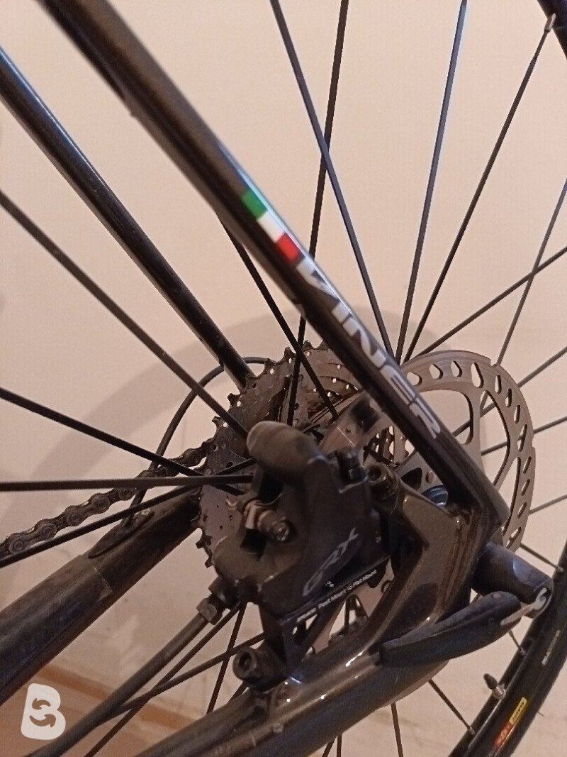 Viner Mitus Disc 70th Anniversary 2023