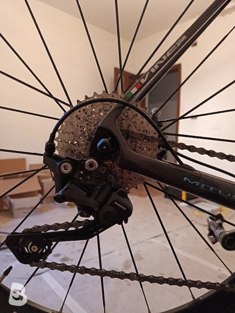 Viner Mitus Disc 70th Anniversary 2023