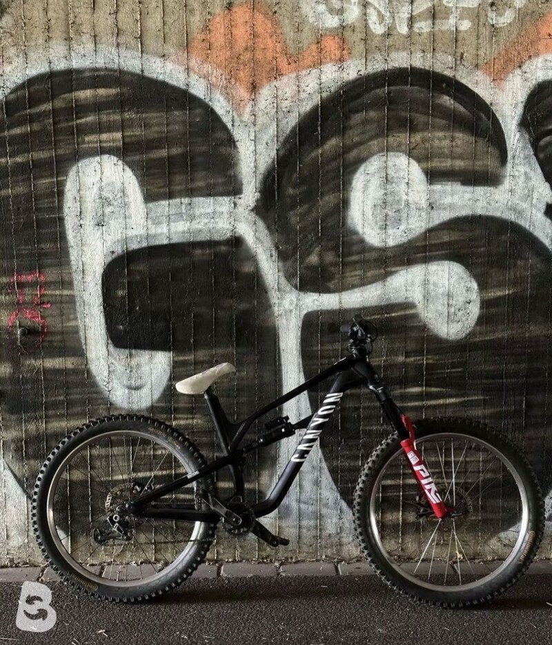 Canyon Spectral Aluminium 2022