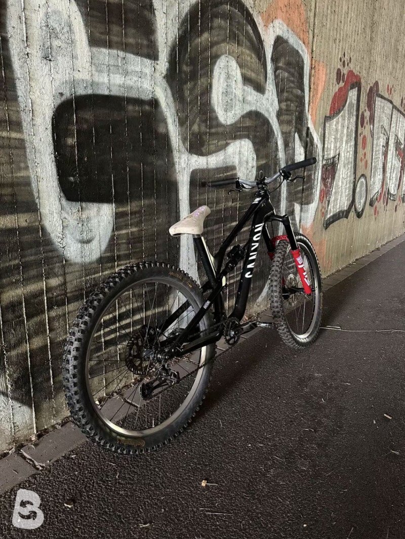 Canyon Spectral Aluminium 2022