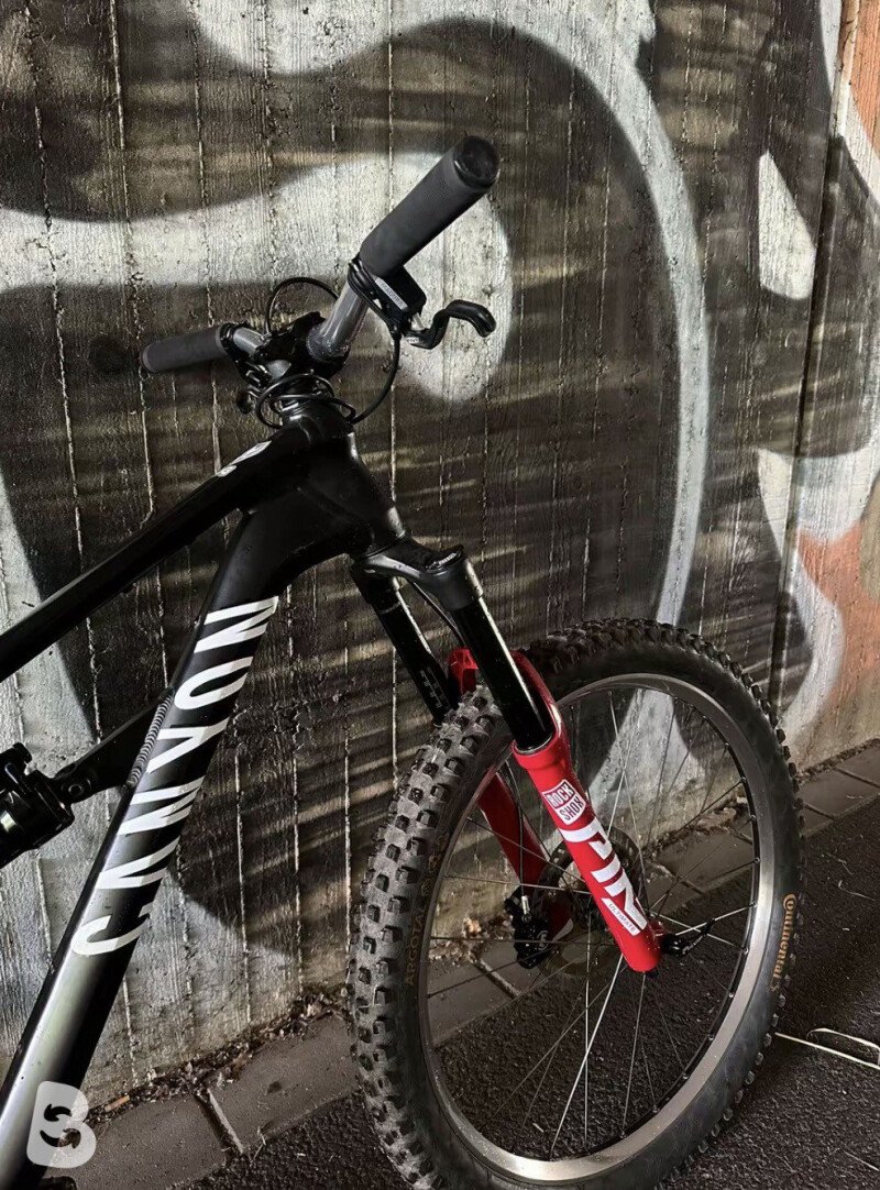 Canyon Spectral Aluminium 2022
