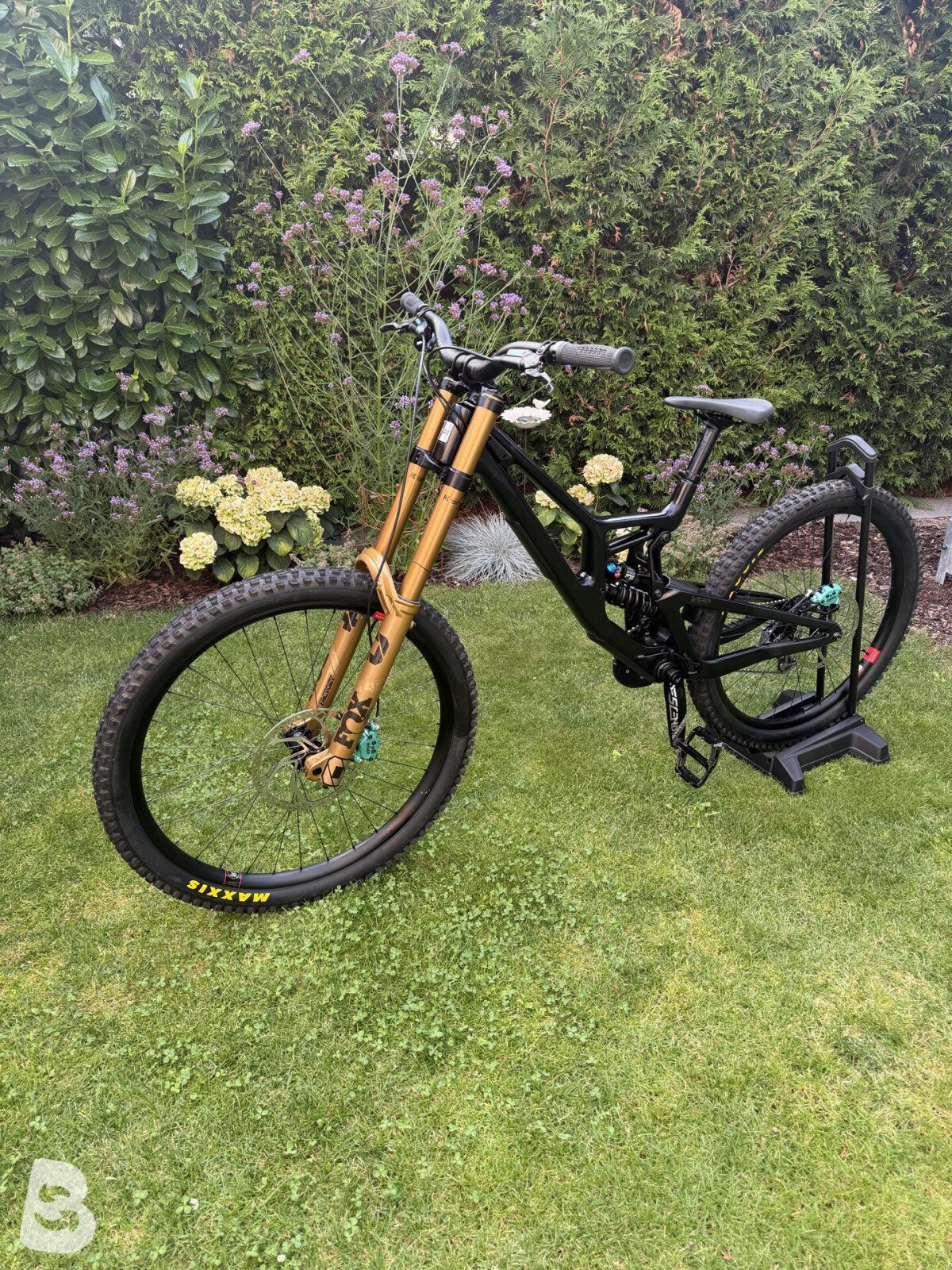 Santa Cruz V10 2025
