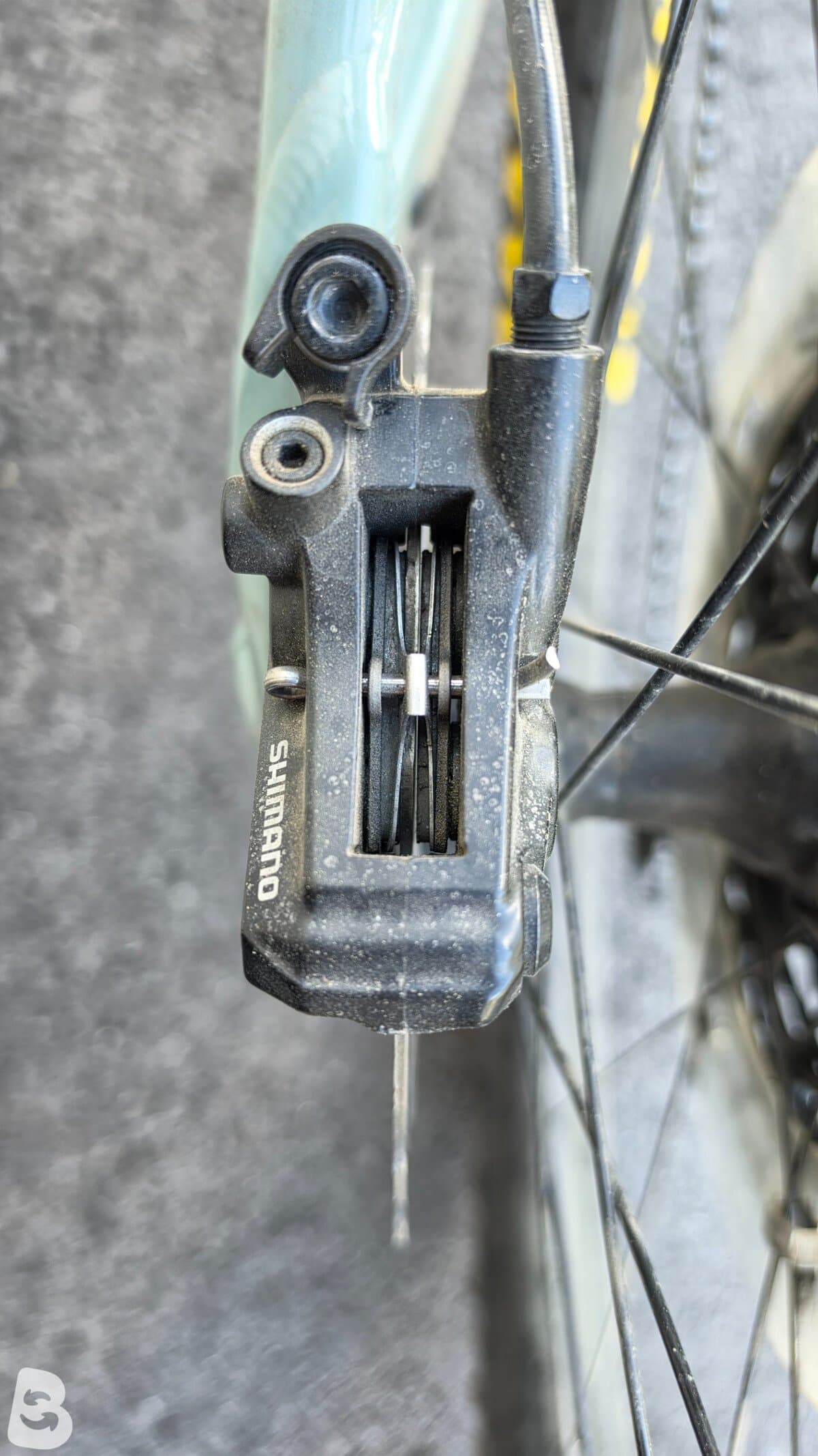 Giant Reign 2 2020