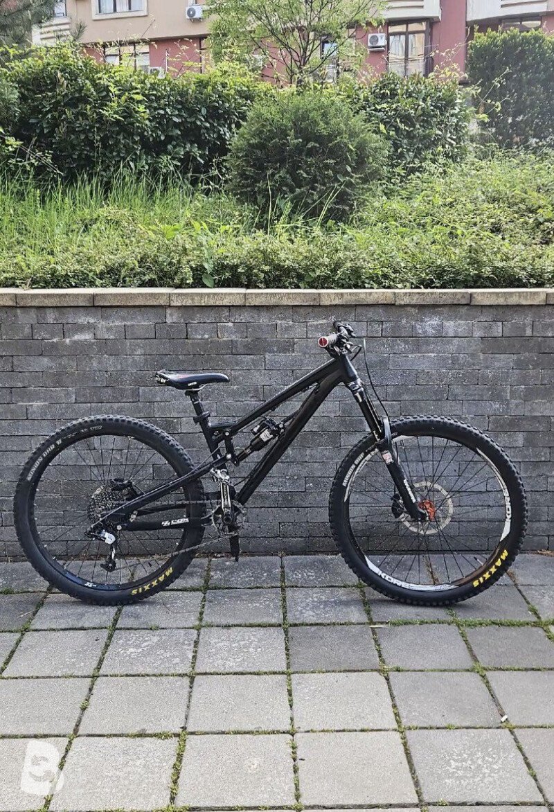 Bird Aeris 2019