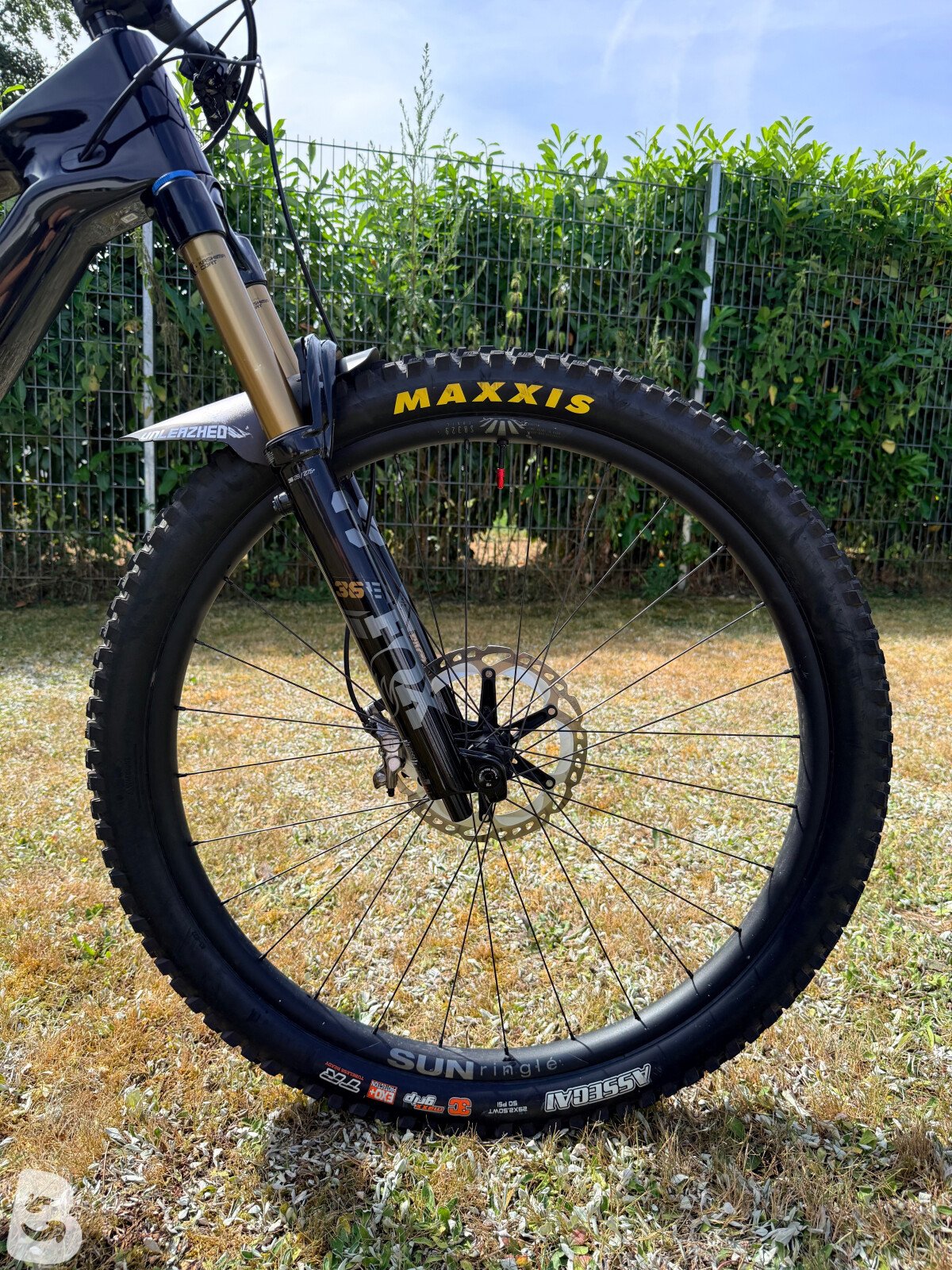 Canyon Spectral: ONfly 8 2025