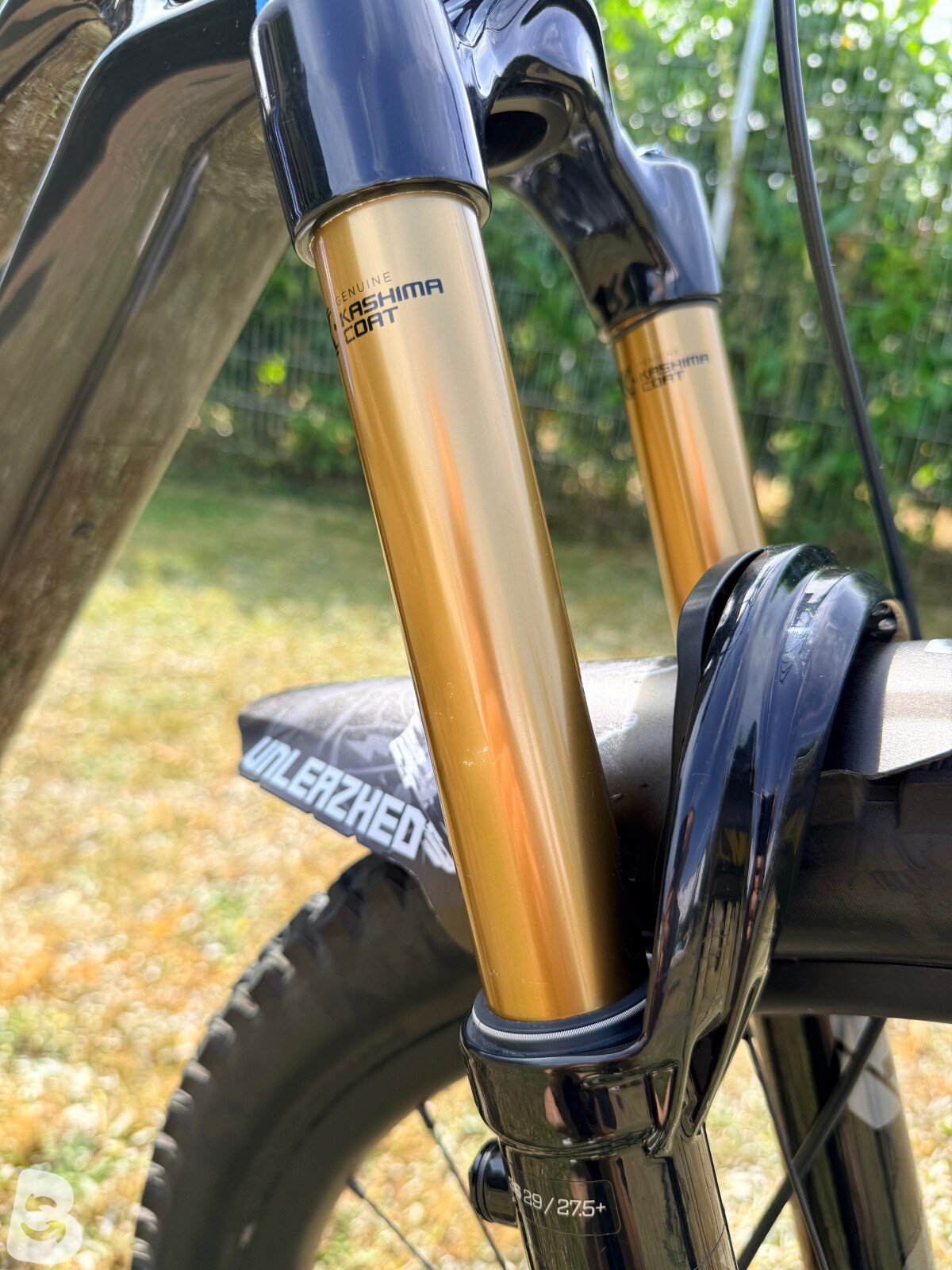 Canyon Spectral: ONfly 8 2025