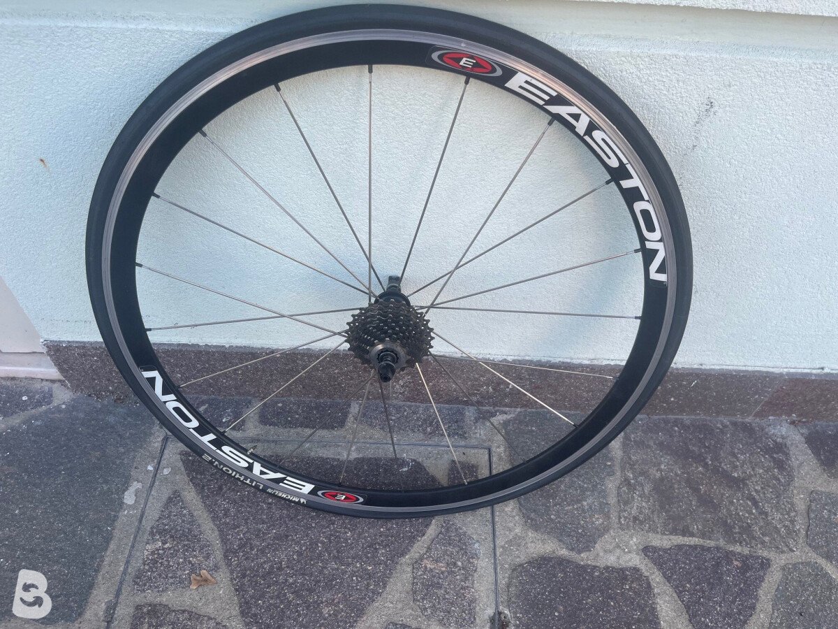 Moser 111 2012