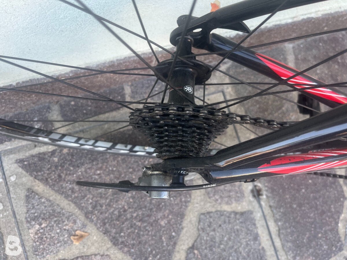Moser 111 2012