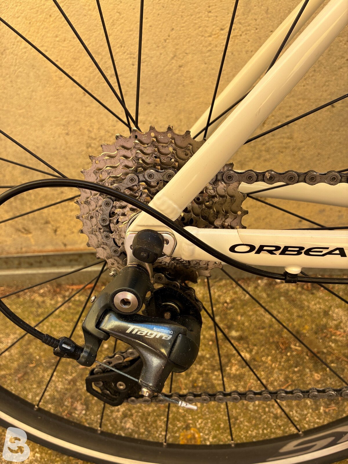 Orbea Avant H40 2020