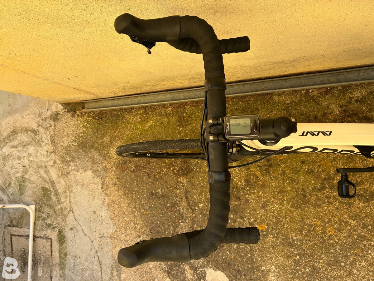 Orbea Avant H40 2020