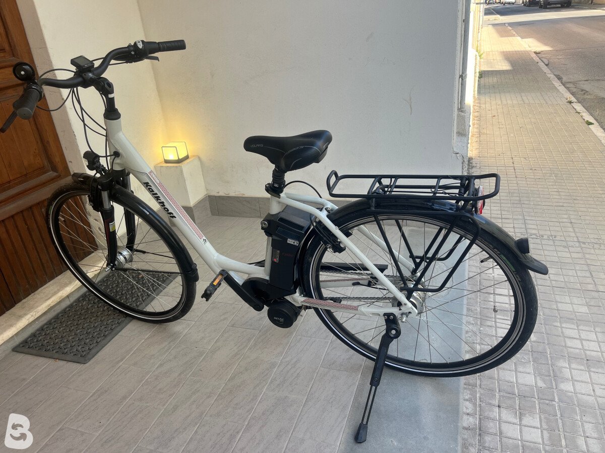 Kalkhoff Agattu 1.B Move Comfort 2021