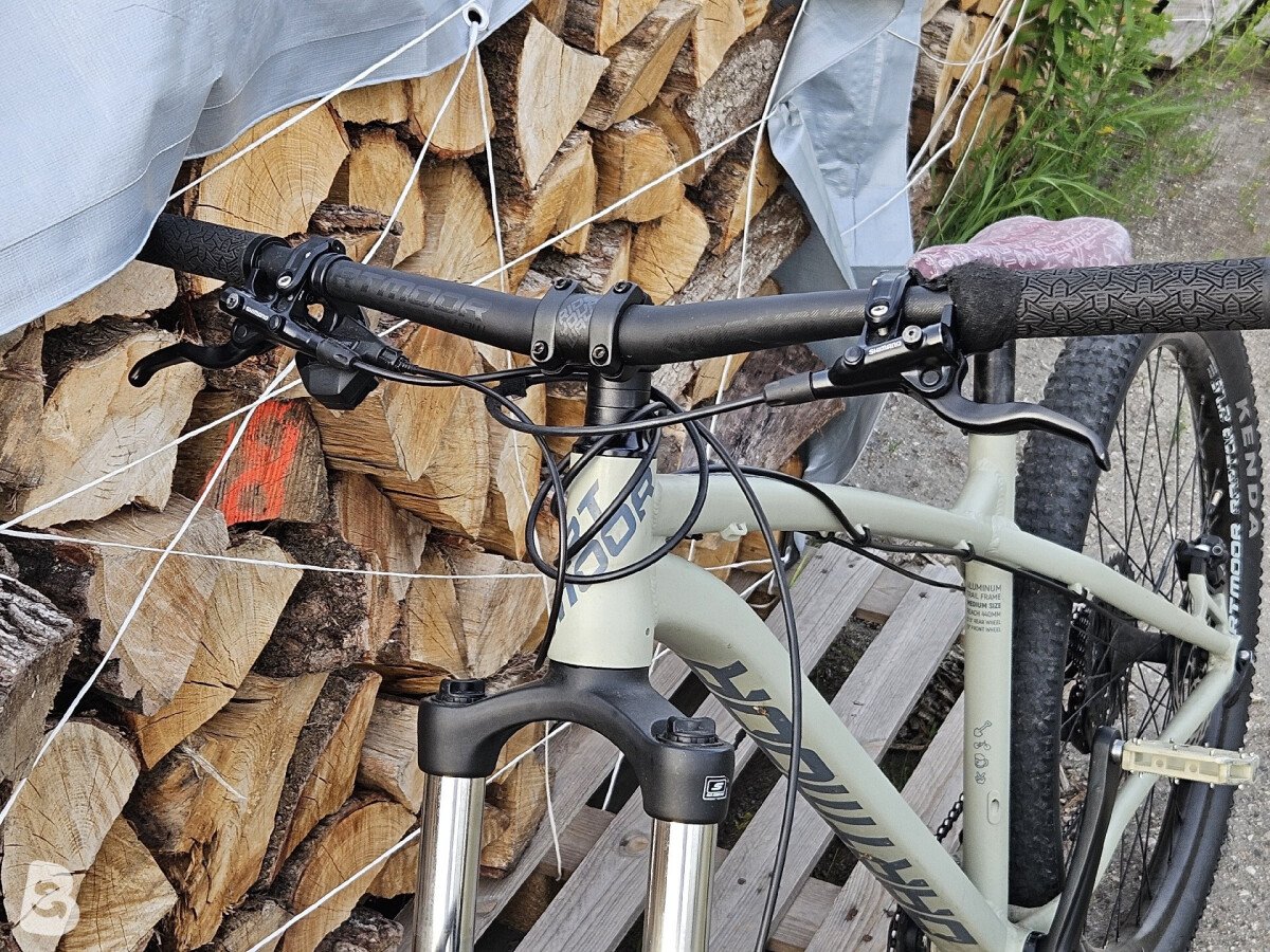 Dartmoor Sparow 2022
