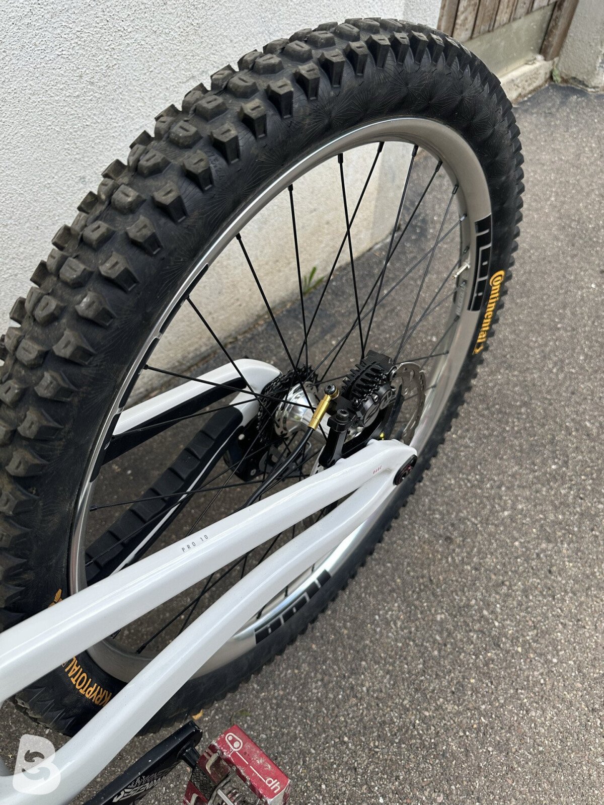 Propain Rage 3 CF 29 Highend 2023