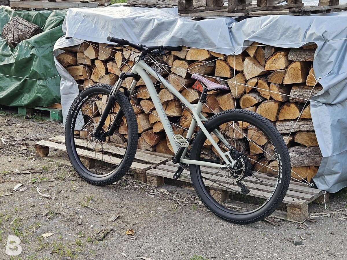 Dartmoor Sparow 2022