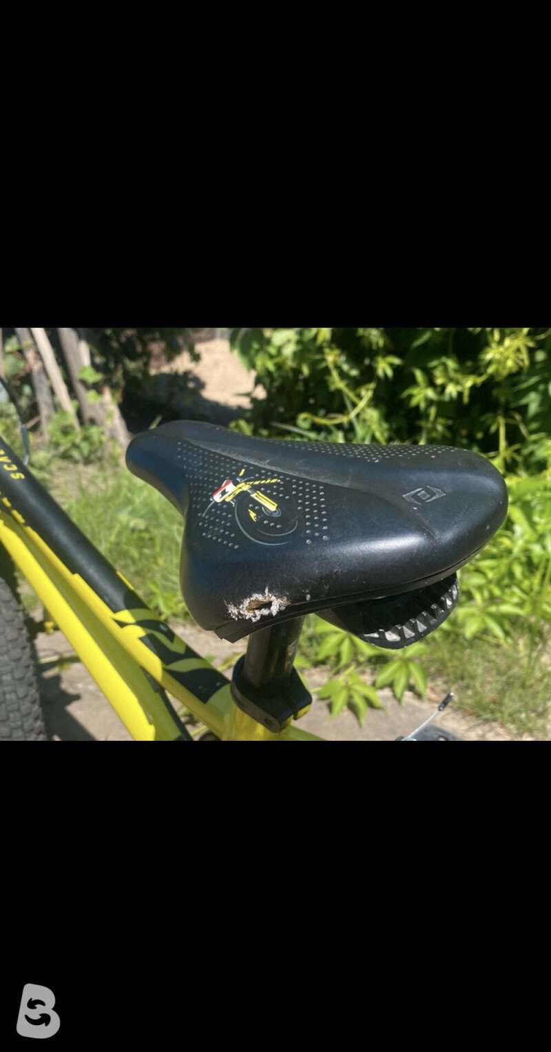 Scott Scale 16 2022