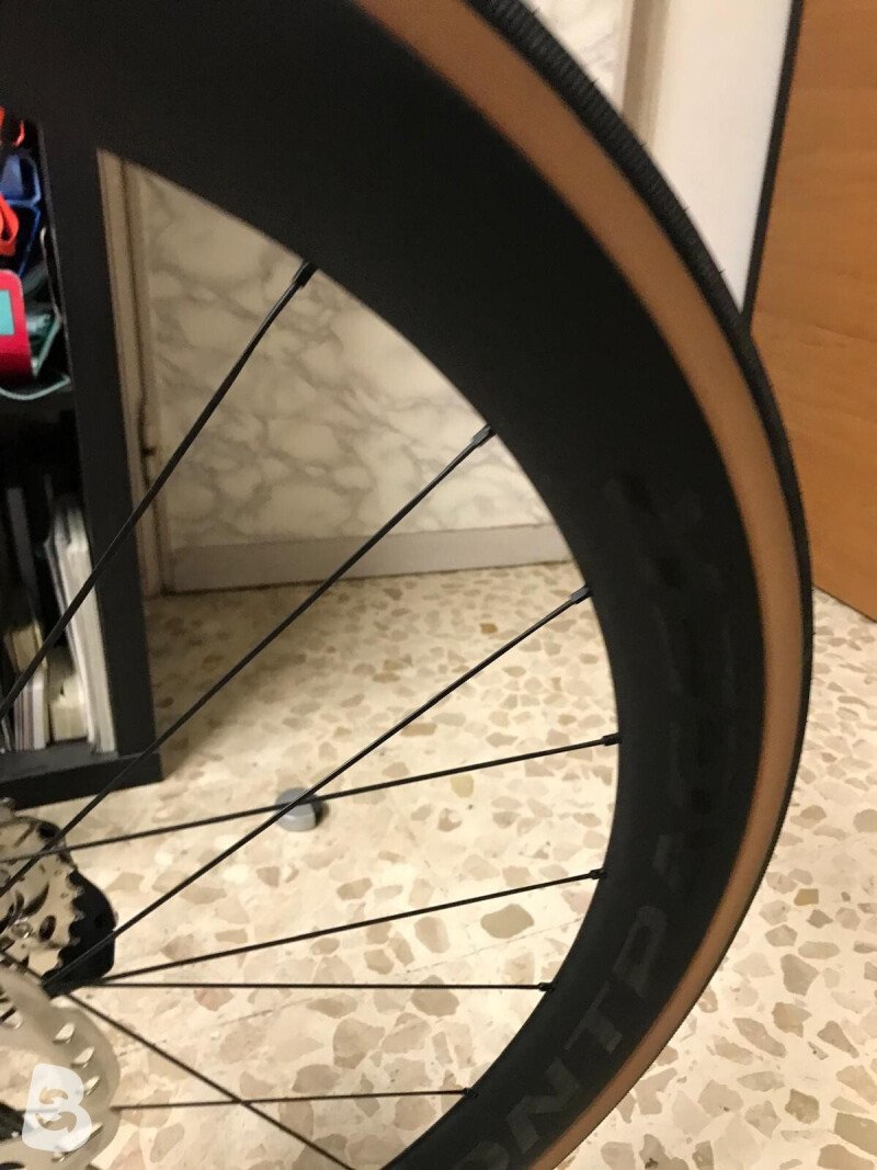 Trek Madone SLR 6 Gen 7 2024