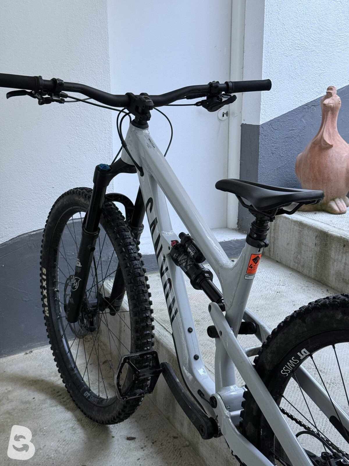 Canyon Spectral 6 2024