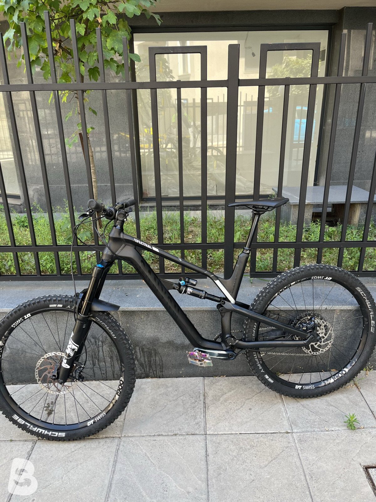 Canyon Spectral AL 6.0 2020