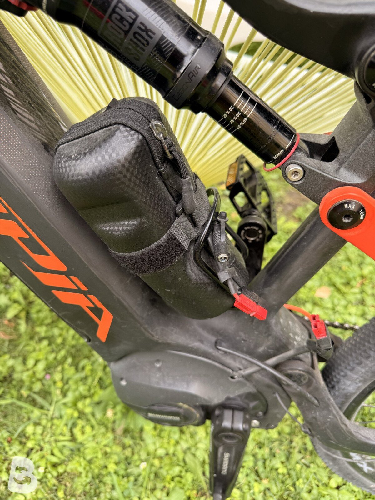 Olympia Carbon 8.0 EX 1 2020