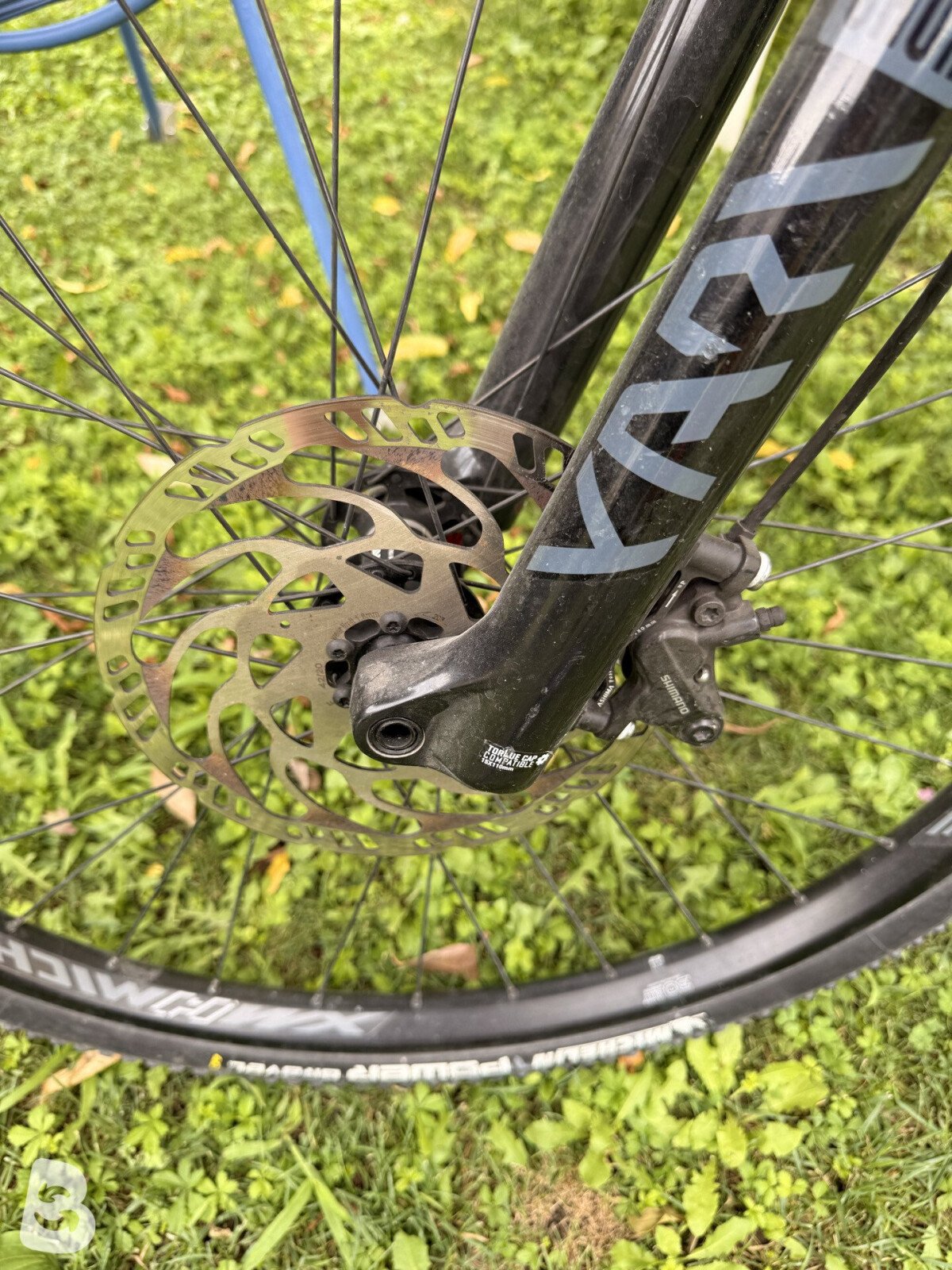 Olympia Carbon 8.0 EX 1 2020