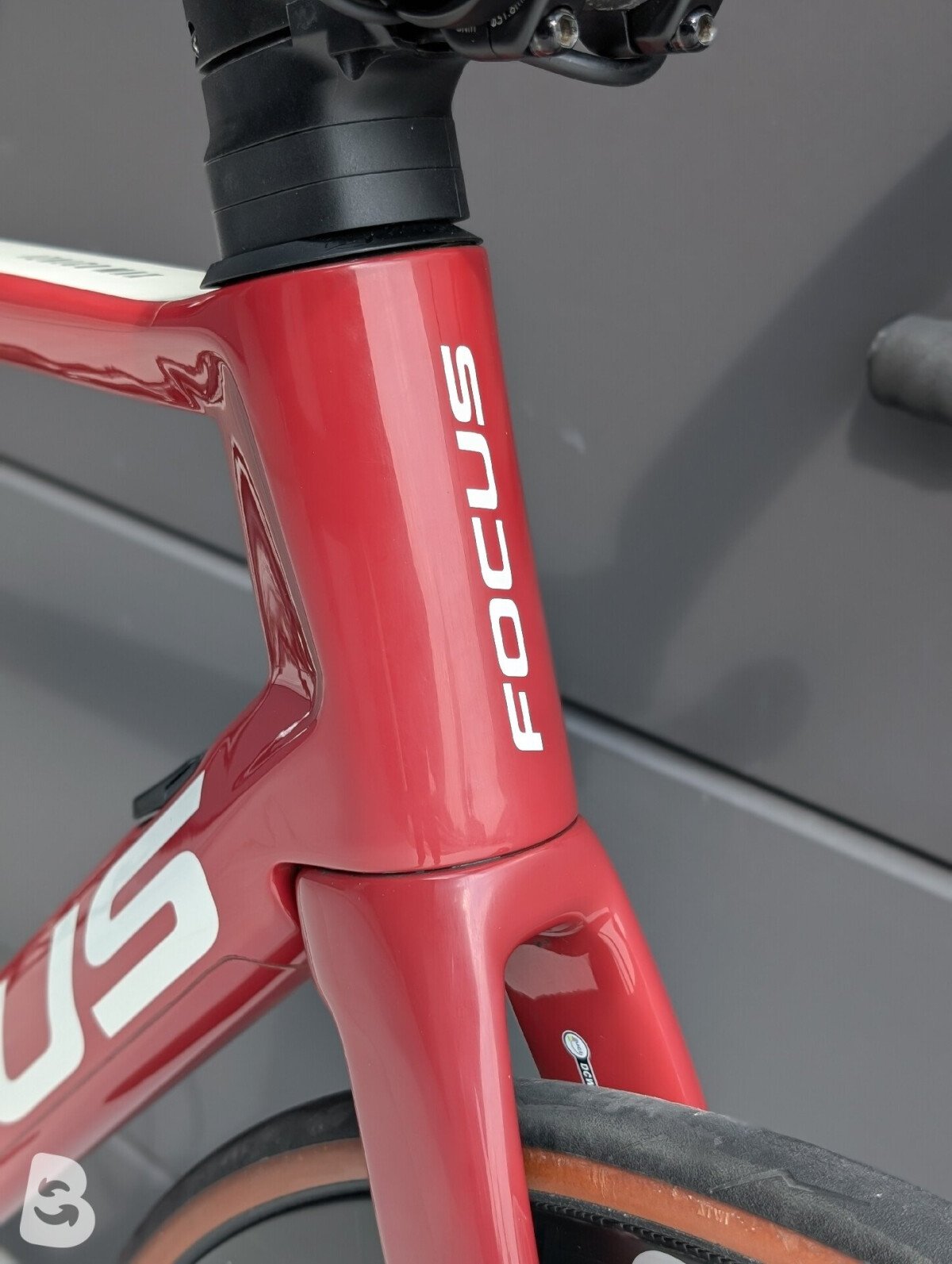 Focus IZALCO MAX DISC 9.6 2021