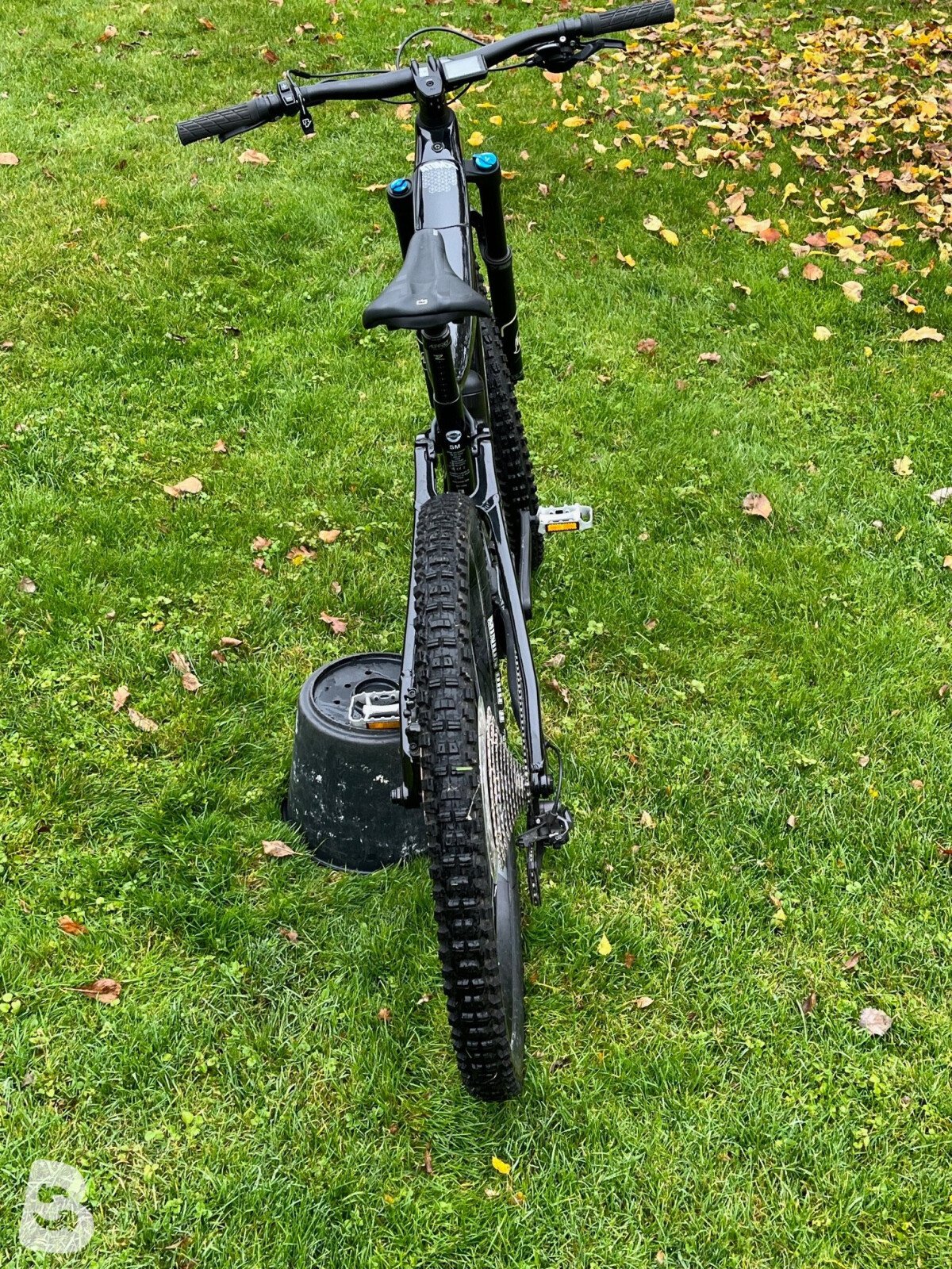 BH AtomX Lynx Pro 2024