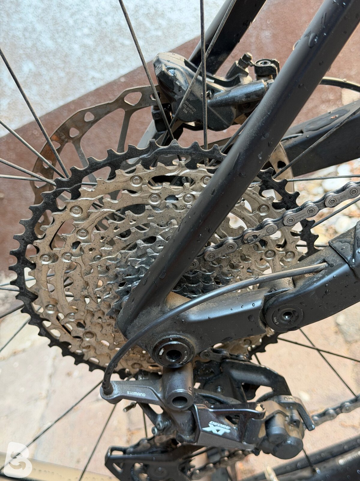 Bulls Sonic EVO EN-SL 1 Carbon 2021
