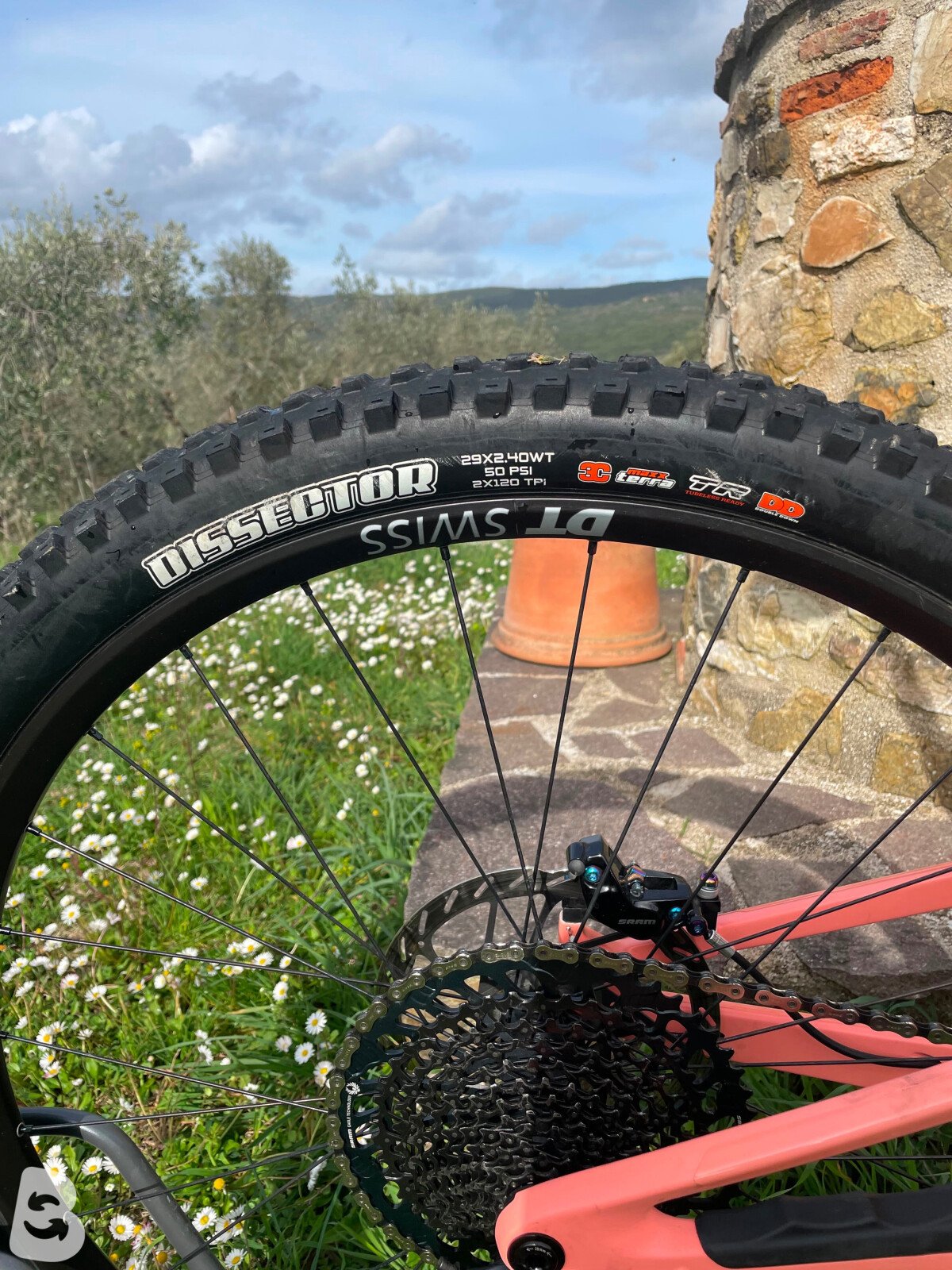 Scor 4060 Z ST GX 2024