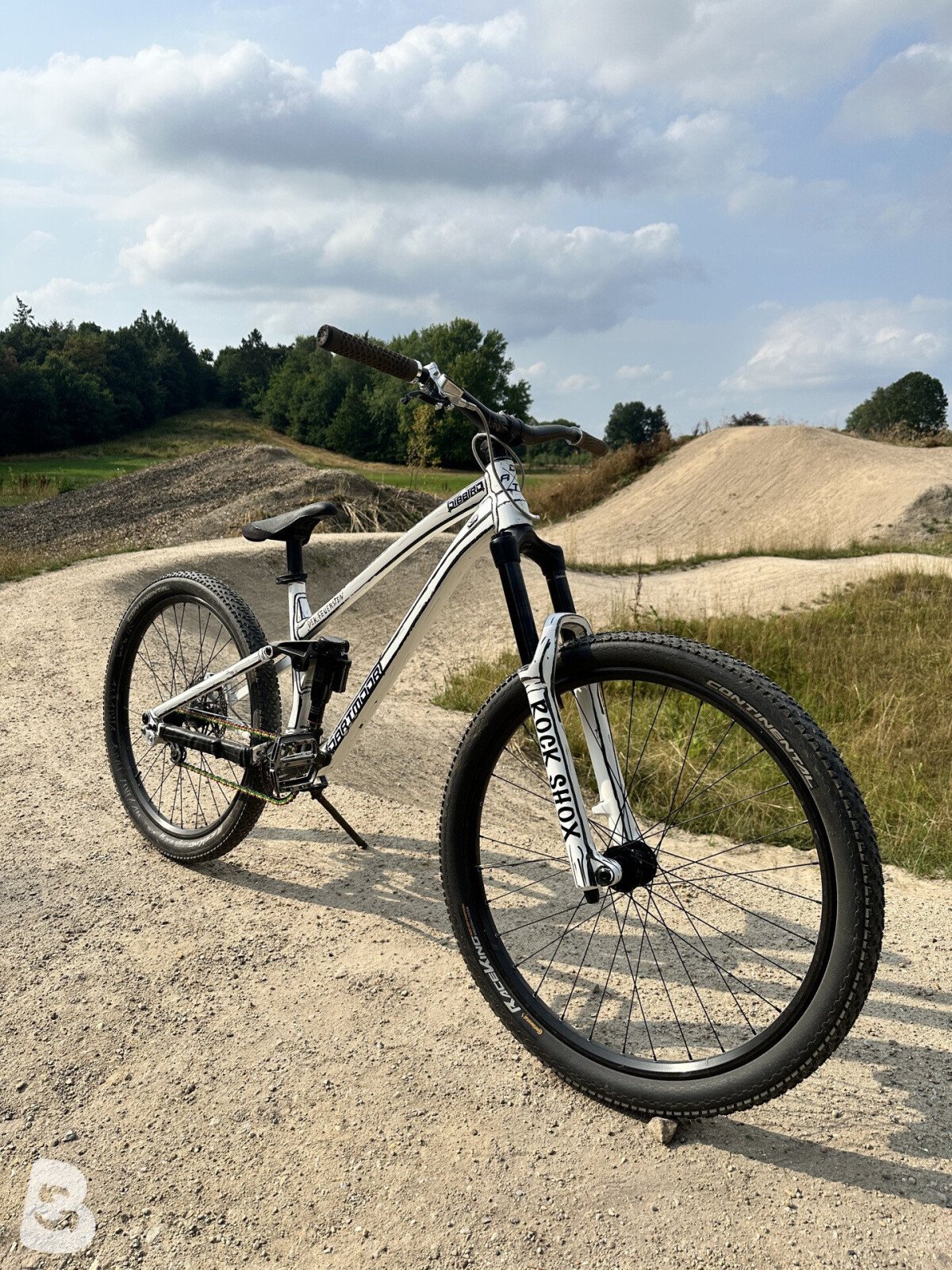 Dartmoor Jibbird 2025