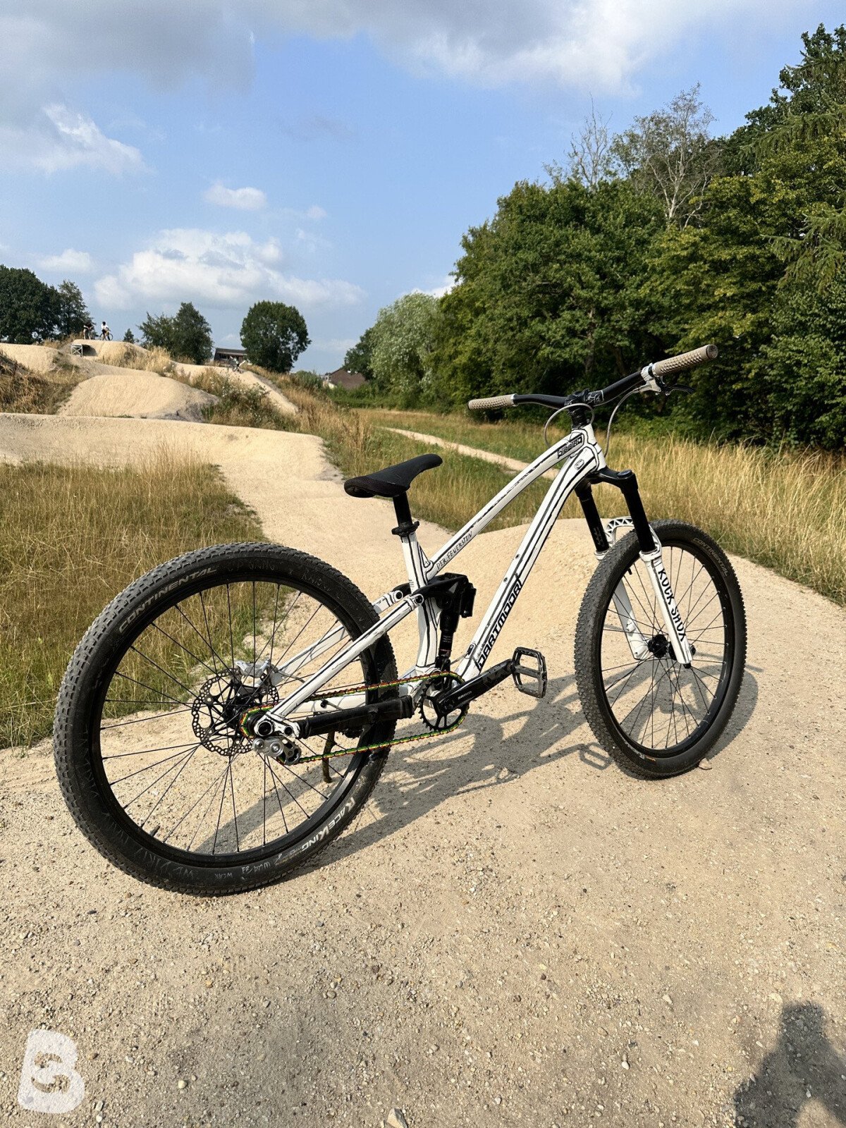 Dartmoor Jibbird 2025
